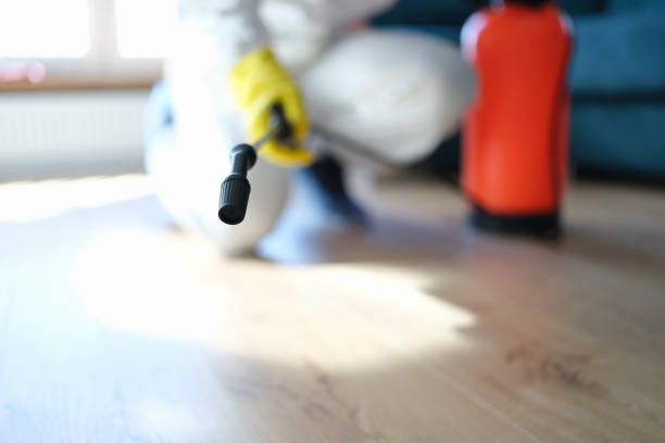  Lakeview, MI Mold Removal Pros