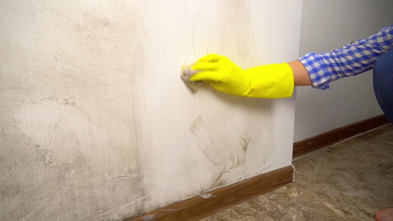 Mold Odor Removal Services in Lakeview, MI