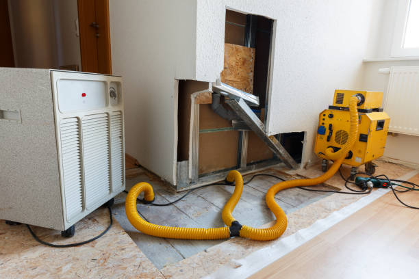 Best Mold Prevention Services  in Lakeview, MI