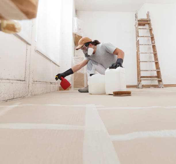 Best Dehumidification Services  in Lakeview, MI
